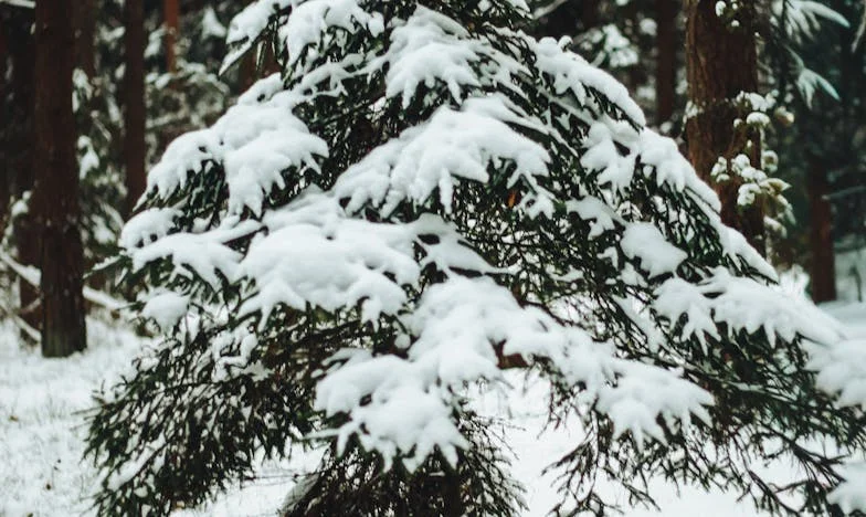 Rozvod, který mi zachránil život: Příběh Hany z Libně