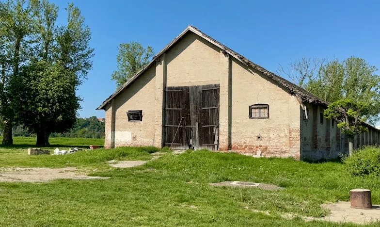 „Tati, ty se starej o naše peníze!” – Rozhodnutí, které mi vzalo svobodu