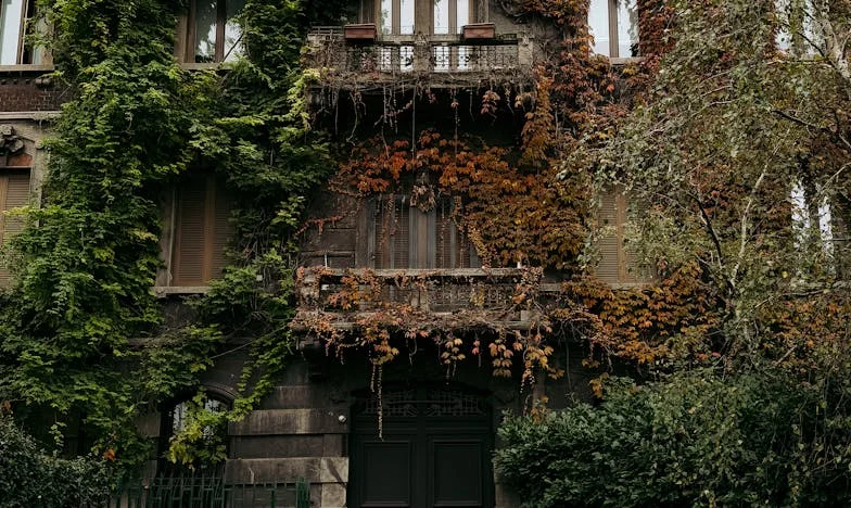 Zrada v srdci Beskyd: Příběh o lásce, zradě a novém začátku