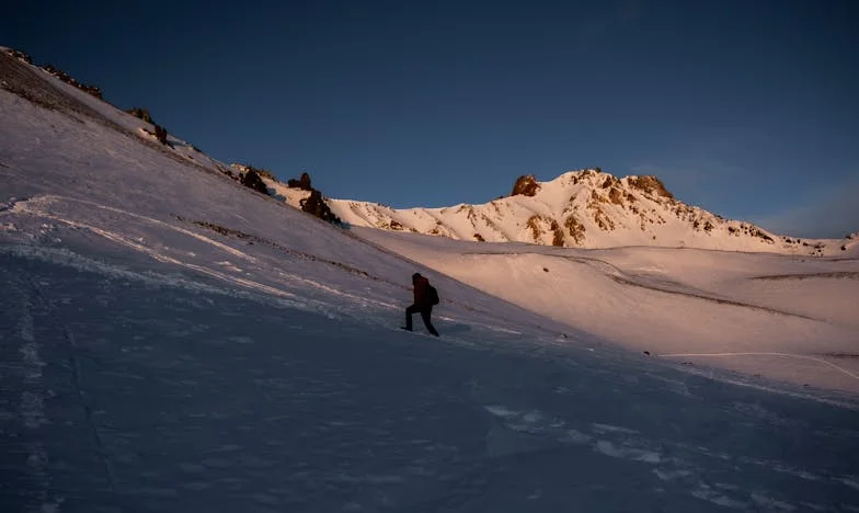 Les Chemins Non Empruntés : Réflexions sur les Voyages Manqués et les Regrets Parentaux