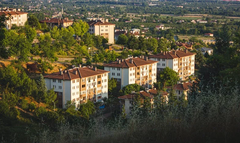 Fuir pour survivre : le poids d'une famille brisée