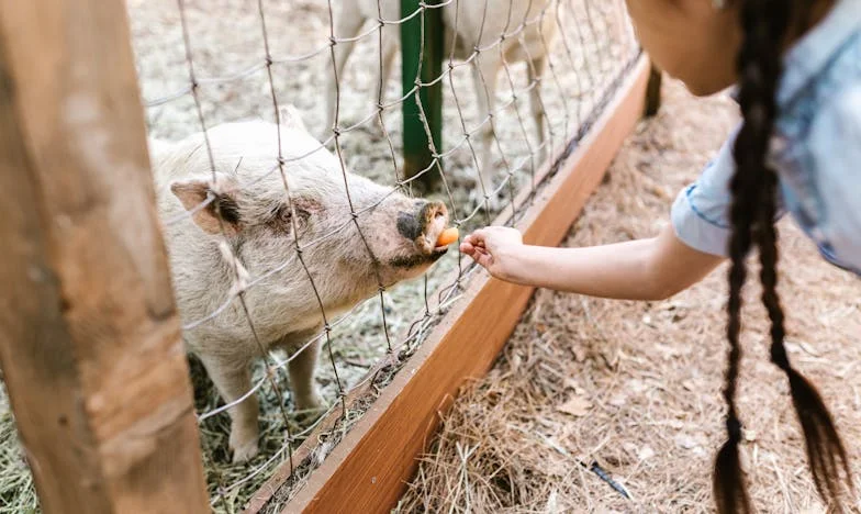 Les clés du cœur : Quand l'amour et la famille deviennent un champ de bataille