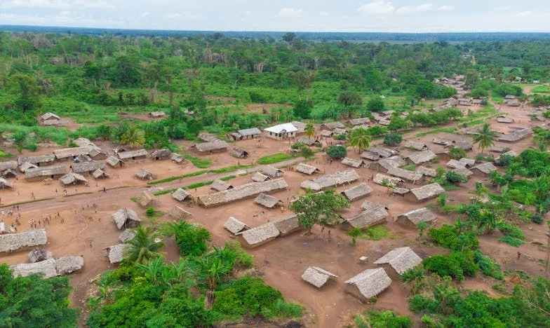 Jetée comme un chien errant – l’histoire de Camille à Lille