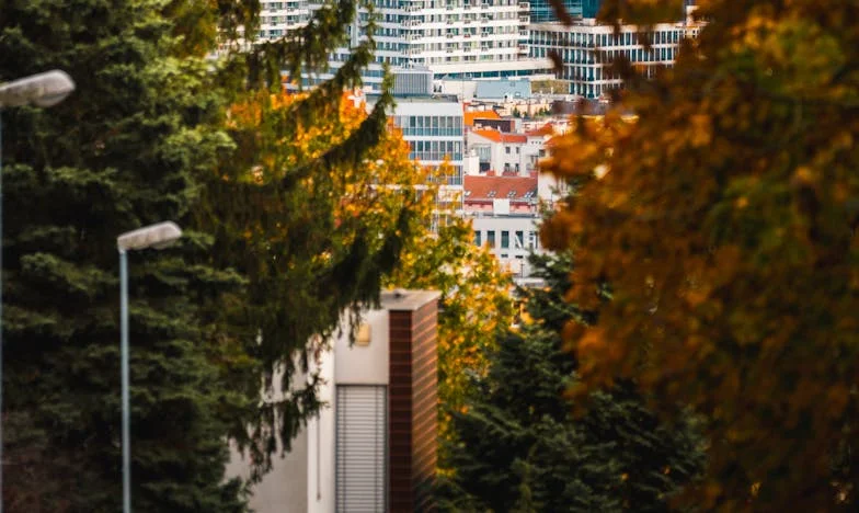 Le reçu qui a tout brisé : Chronique d’une trahison à Lyon