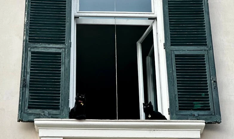 L’épouse invisible : L’histoire de Claire et de son silence brisé