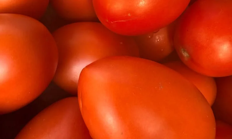 Une phrase qui a tout bouleversé : Quand mon fils m’a dit que Maman avait besoin de moi