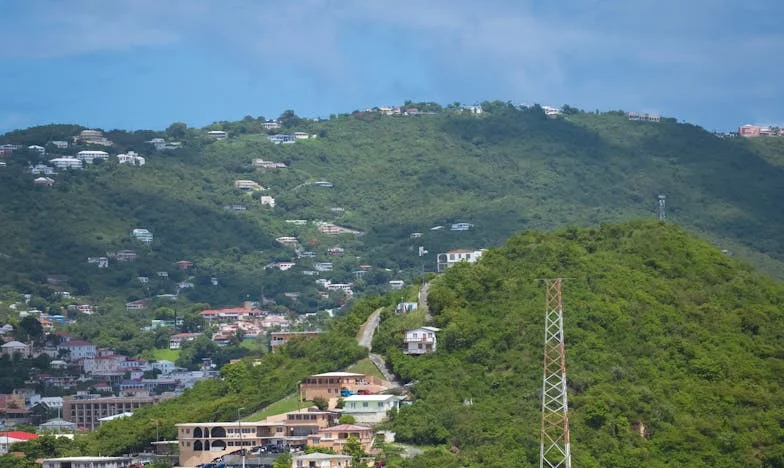 Antoine aux cheveux d'argent – Miracle ou malédiction ? Mon combat pour l'acceptation de mon fils