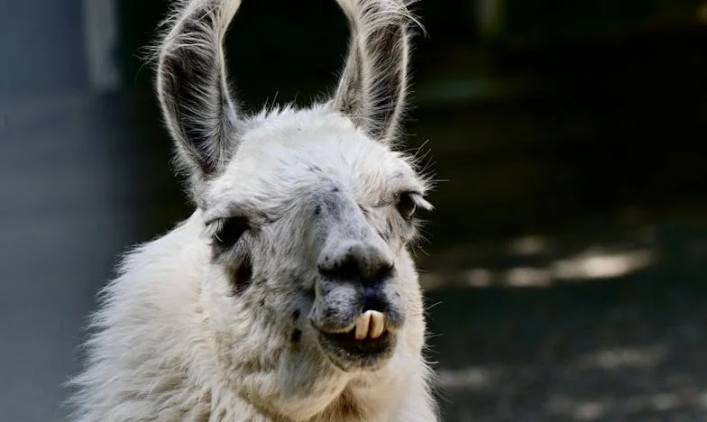 Basta ! Ma vie n’est pas une garderie : l’histoire de Claire à Lyon