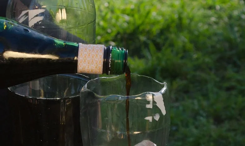 Ce que nos voisins pensaient : Histoire d'amour, de préjugés et de murs