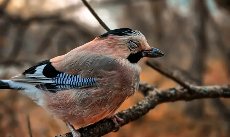 Divorce n'était que le début : Comment mon ex-mari et ma belle-mère ont tenté de m'arracher mon fils et mon bonheur