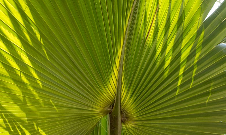Entre deux feux : Mon histoire de pardon et de famille
