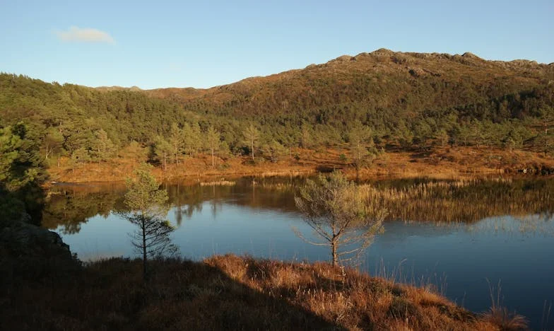 Entre Deux Feux : Quand Mon Fils Me Tourne le Dos pour Sa Femme