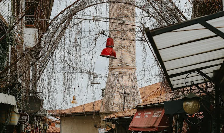 Entre l’Amour et le Jugement : L’Ultimatum de Vincent