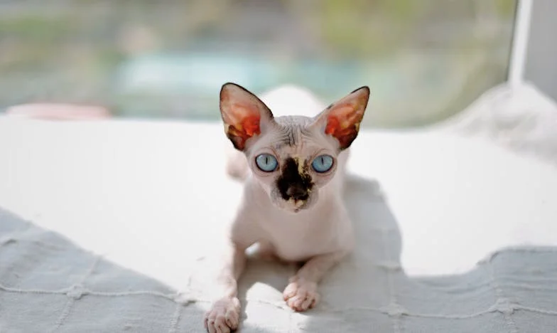 Fuir pour respirer : Mon combat entre famille et liberté