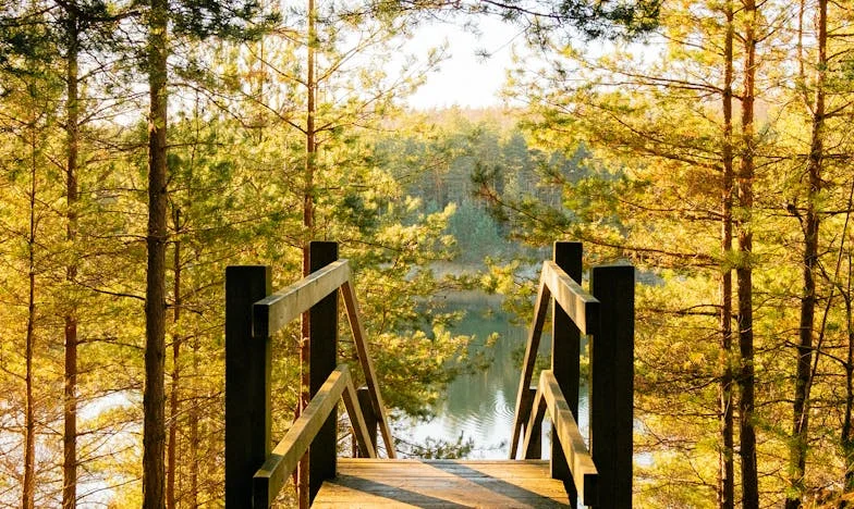 J'ai invité mon ex-belle-fille chez moi — aujourd'hui, mon fils m'est devenu étranger. Peut-on vraiment perdre son enfant par excès de bonté ?