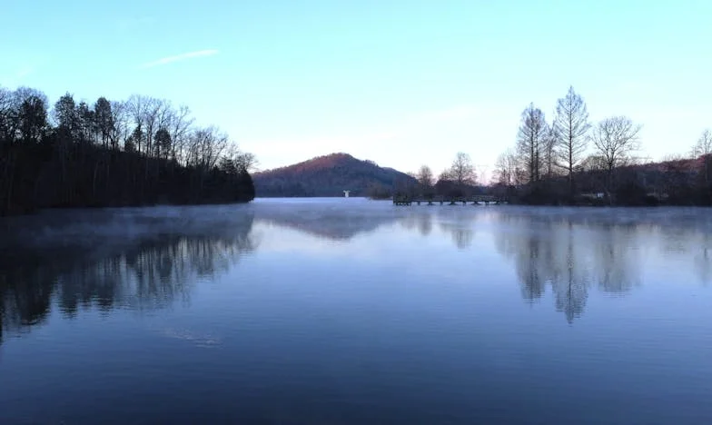 « Je n’ai qu’un seul petit-fils ! » : Histoire d’un rejet et de la force familiale