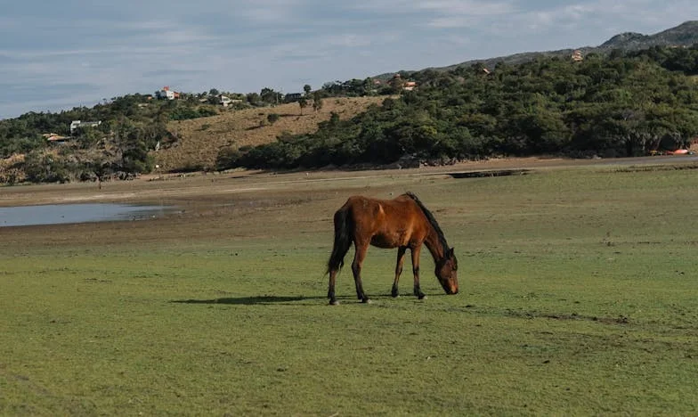 La lumière dans l’ombre : Comment la foi a sauvé ma famille de la ruine