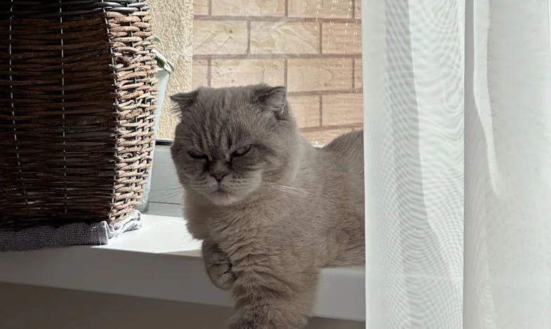 La maison qui aurait dû être la nôtre : Vérité, argent et trahison familiale