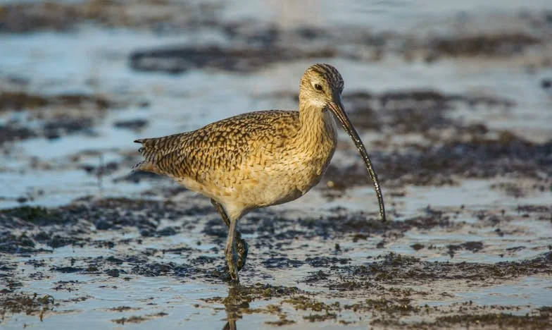 La maison qui ne voulait plus de nous : Chronique d’un foyer en ruines