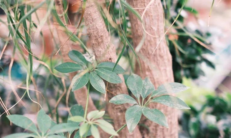 La proposition amère de ma belle-mère : Quand je suis restée seule avec mon bébé