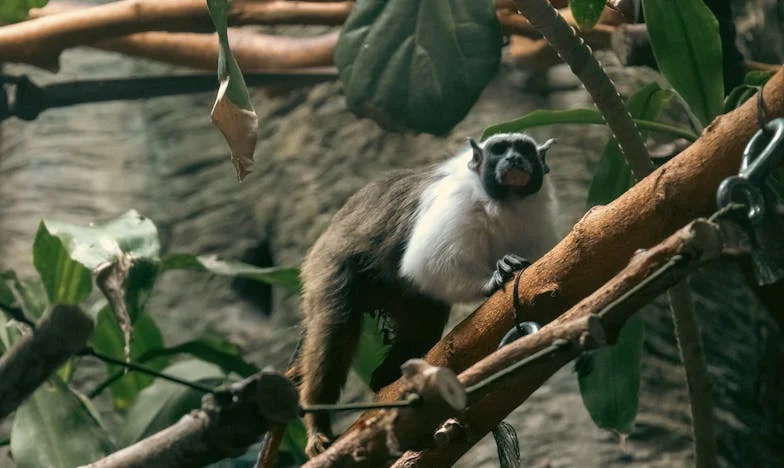 La Vérité d'une Mère : Quand l'Amour Ne Suffit Pas
