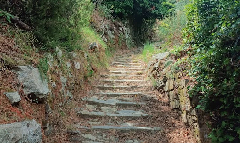 Le mariage de ma sœur a bouleversé nos vies : quand Mamie s'invite chez nous