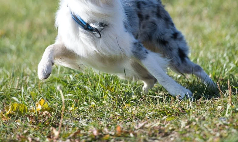 Le prix d’un sourire : quand un simple jeu brise une famille