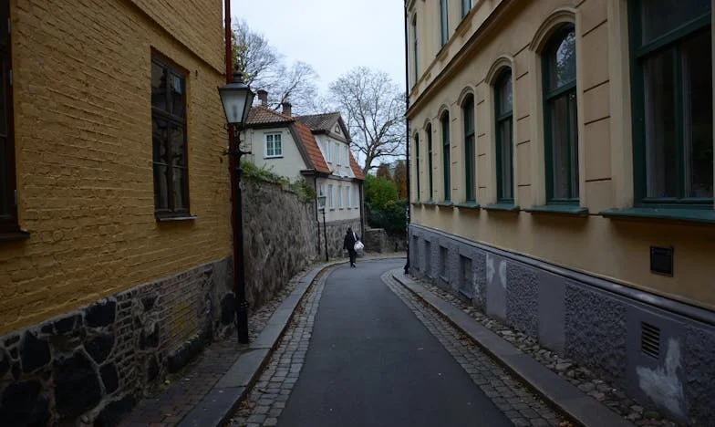 Le testament effacé : Quand l’héritage déchire le sang