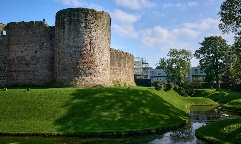 Les fleurs de l’oubli : chronique d’un jardin interdit
