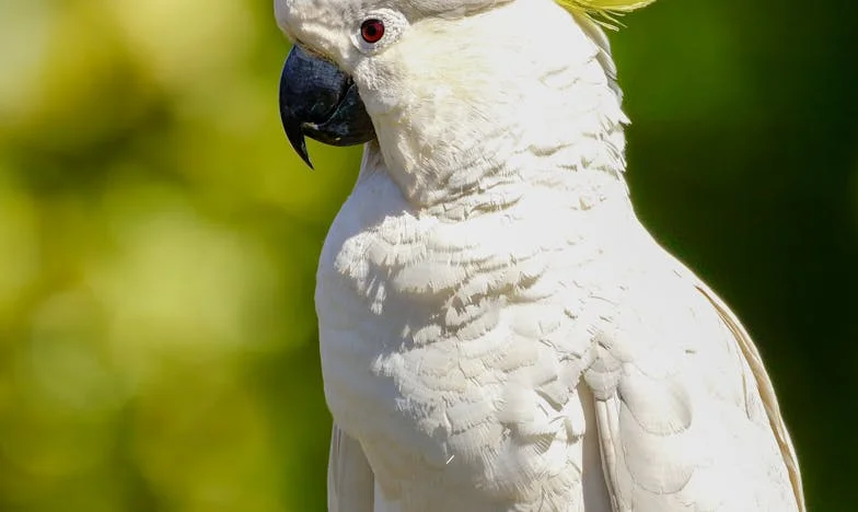 « Maman, pourquoi étais-tu dans notre appartement en notre absence ? » – Histoire d’une confiance brisée
