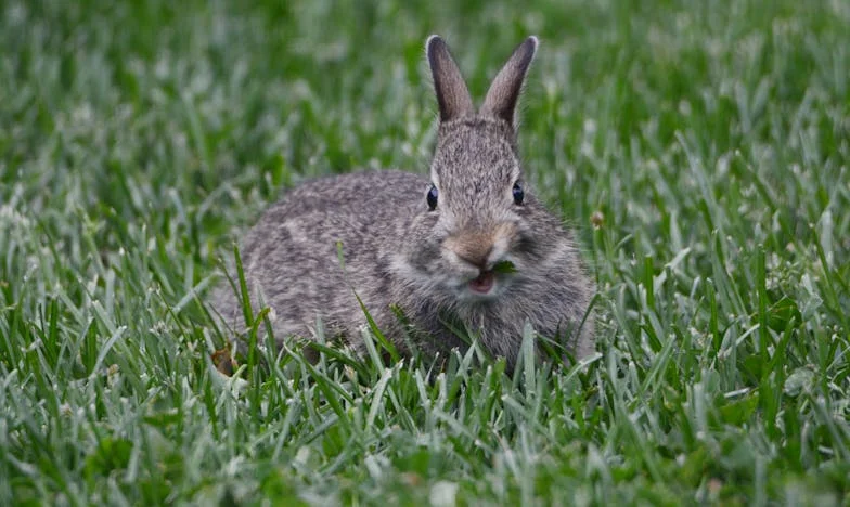 Mon mari m’a menti : Chronique d’un secret qui a brisé notre famille