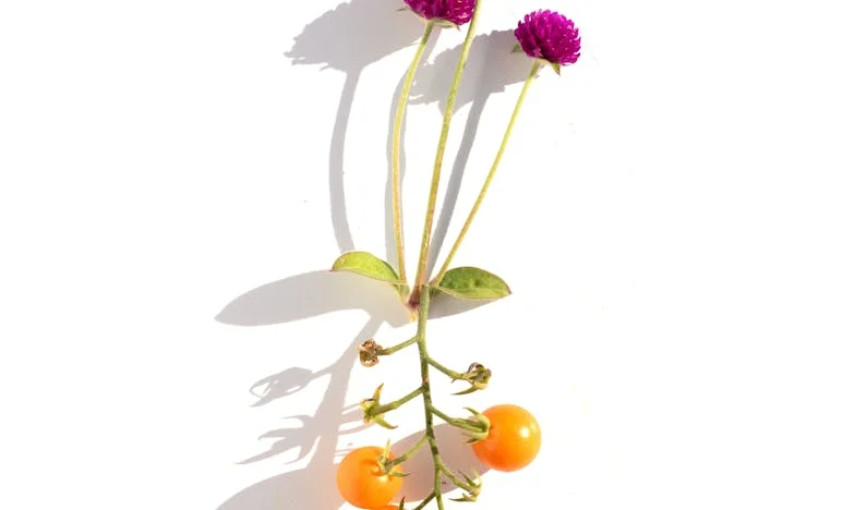 Ne fuis pas devant toi-même, Élodie ! – La fuite d’une fiancée de la famille de son futur mari