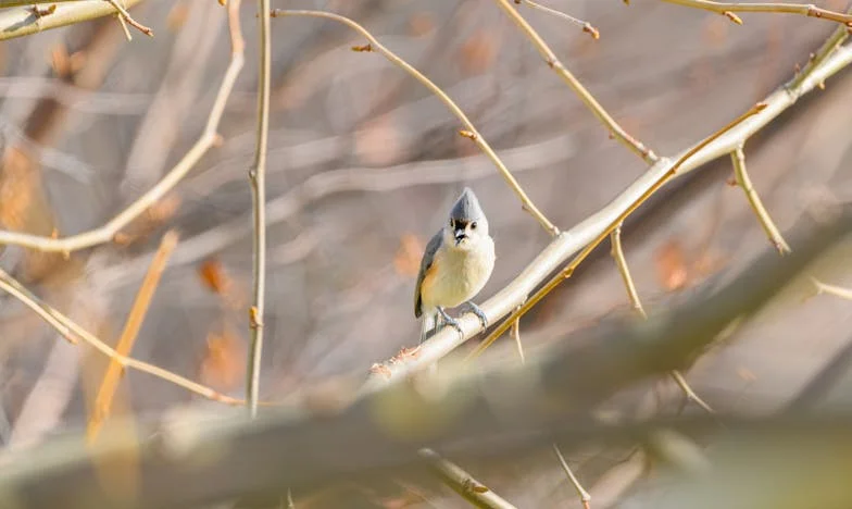 Ne laisse jamais entrer une amie célibataire : la voix de ma mère et ma solitude