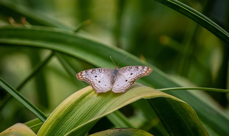 Peux-je vraiment faire confiance à mon propre fils ?