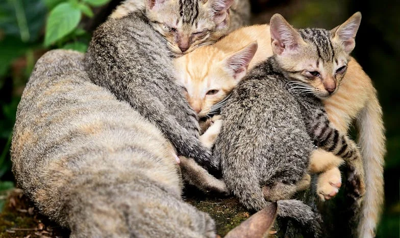 Pourquoi ma fille me reproche-t-elle de ne pas lui donner d'argent ?