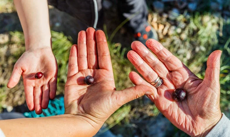 Quand la belle-mère prend le contrôle : Mon mariage avec Vlad