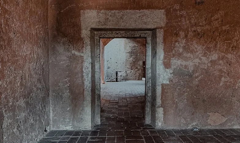 Quand la famille devient étrangère : L’histoire de Claire, déchirée par un héritage à Lyon