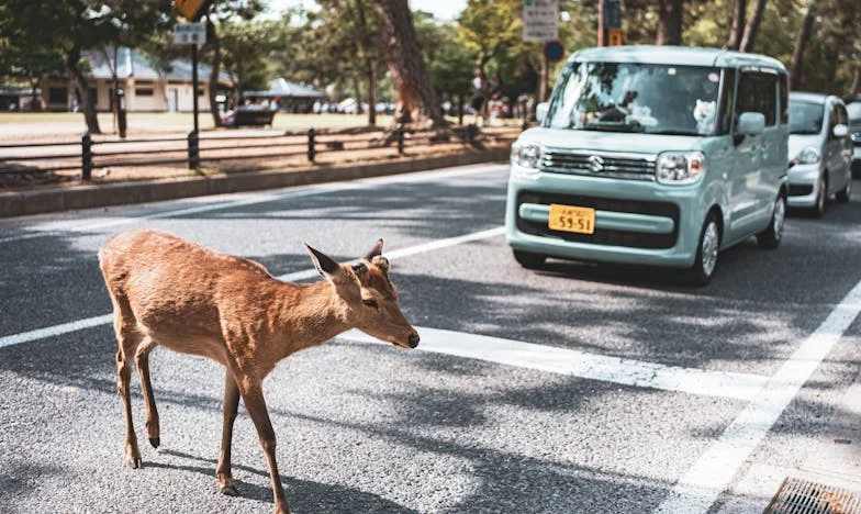 Quand la maladie de ma fille a brisé notre famille : Mon combat après la trahison et le mensonge