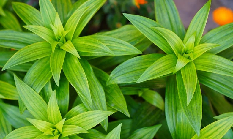 Quand le silence pèse plus lourd que les cris : Chronique d’un père à bout