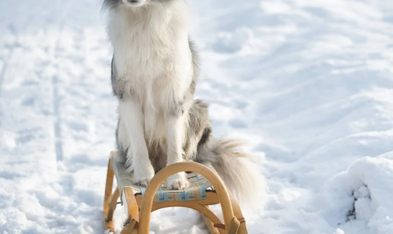 Tout pour mon fils : Quand l’amour devient un fardeau