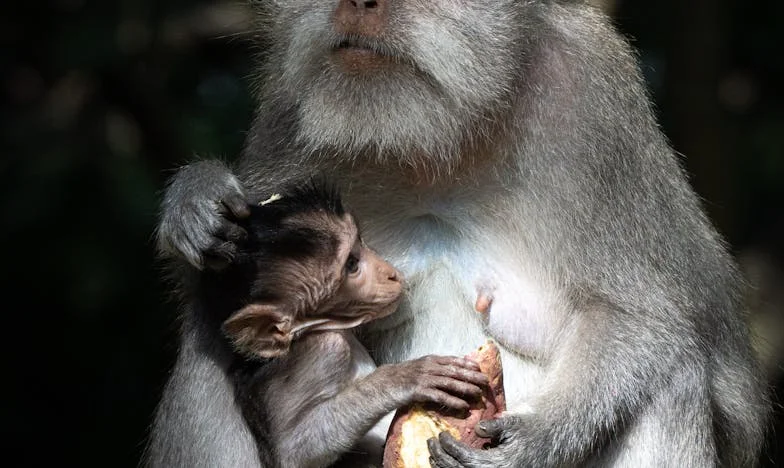 Un message qui a tout bouleversé : l’histoire de Claire