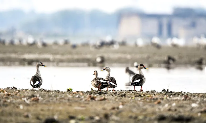Chaque soir, recommencer : Jusqu’où peut-on s’oublier pour l’autre ?
