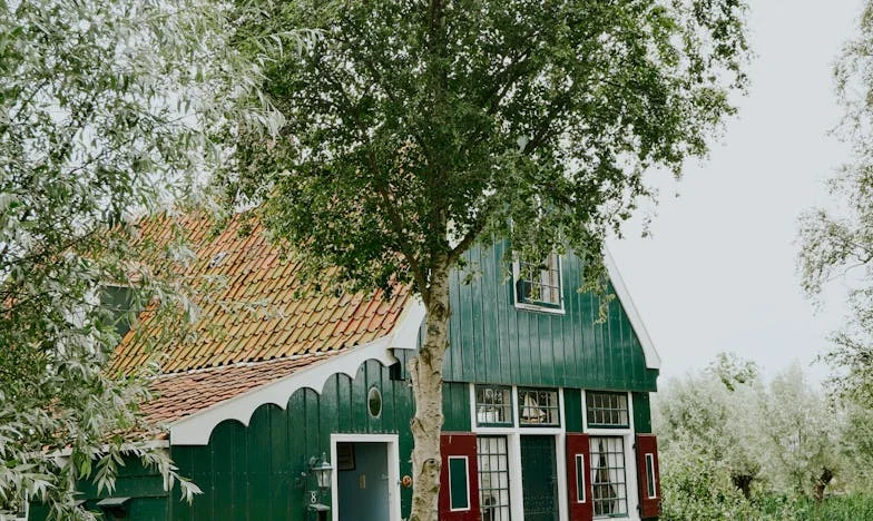 Entre deux pères : Mon choix le jour le plus important de ma vie