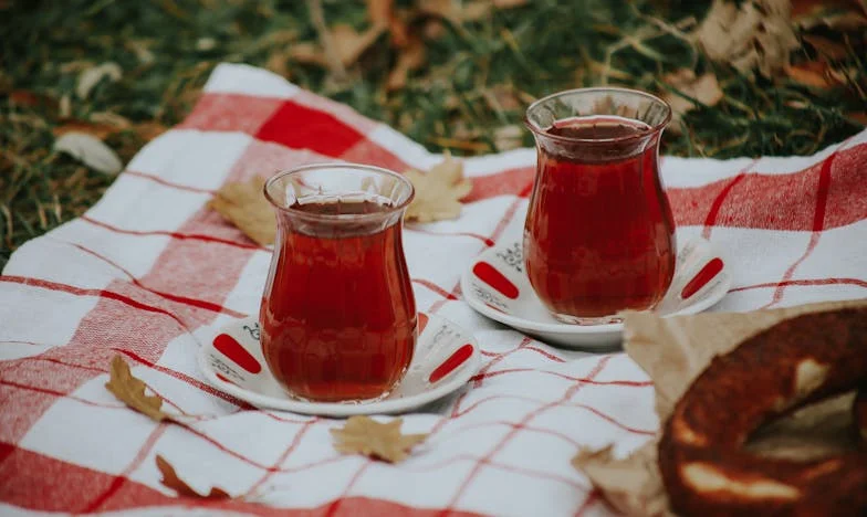 Entre le sous-sol et la maison de retraite : le choix impossible d’un père