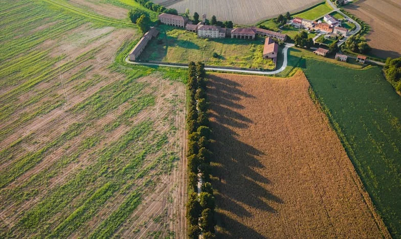 Frigo vide, cœur plein : Mon combat pour l'envol de mon fils adulte