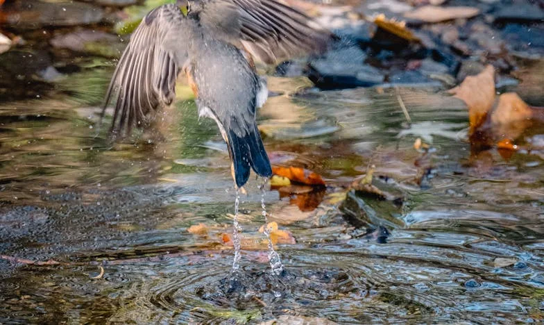 J'ai vu mon beau-frère avec une autre femme et j'ai gardé le silence – aujourd'hui, on me tient pour responsable du drame