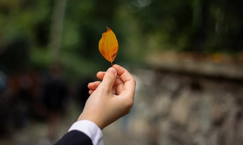 Je suis en congé parental, pas nounou gratuite : Le combat d'une mère française entre devoir et limites