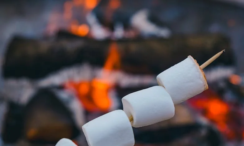 Le Dernier Toast : La Nuit Où Tout a Basculé