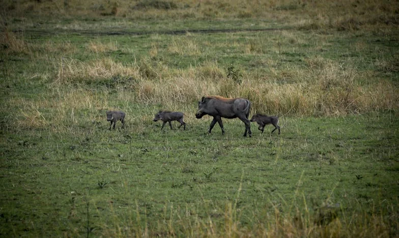 Le frigo n'est pas un self-service : confession d'une mère française au bord de la rupture