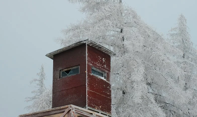 Le jour où je n'ai pas ouvert la porte à mes petits-enfants